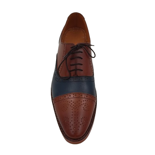 Oxford Multi